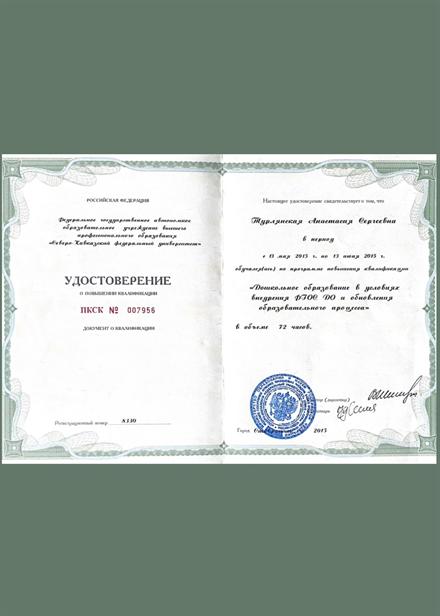 Диплом Турлянской А. С. № 7
