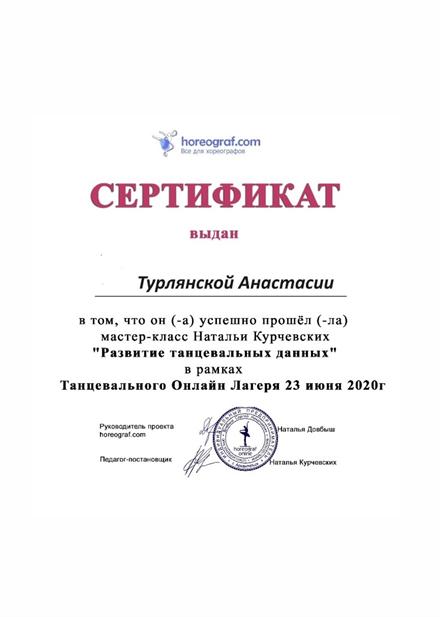Диплом Турлянской А. С. № 9
