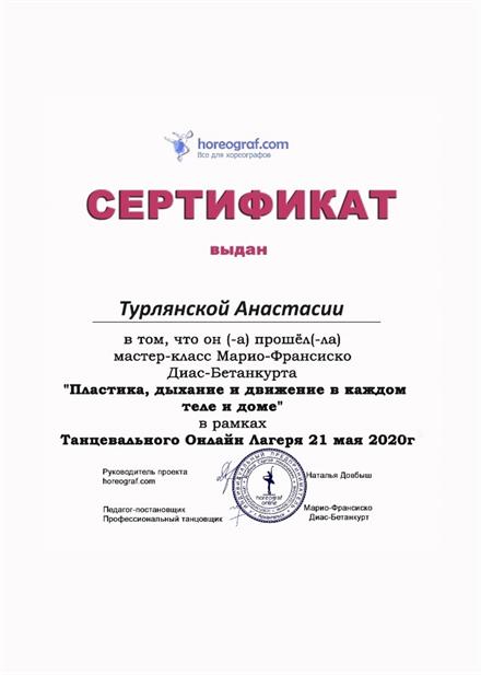 Диплом Турлянской А. С. № 13